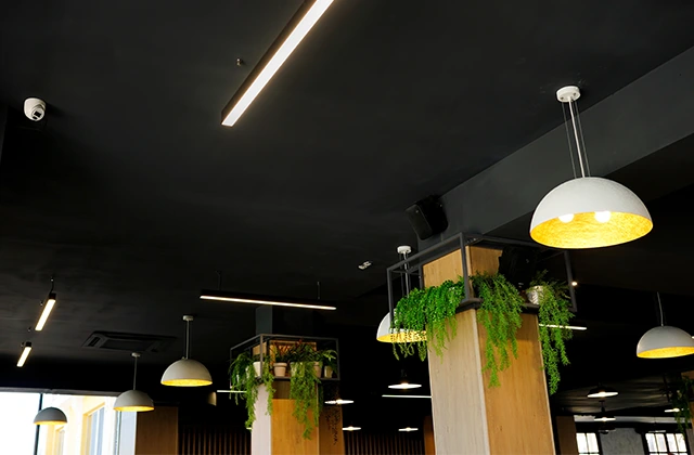 Pendant lights and linear lighting in a commercial space